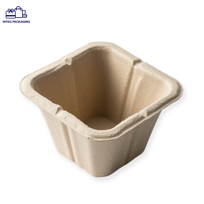 Paper Pulp Tray-IC0184