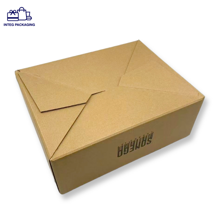 Protective Package-Shipping Box-IC0158