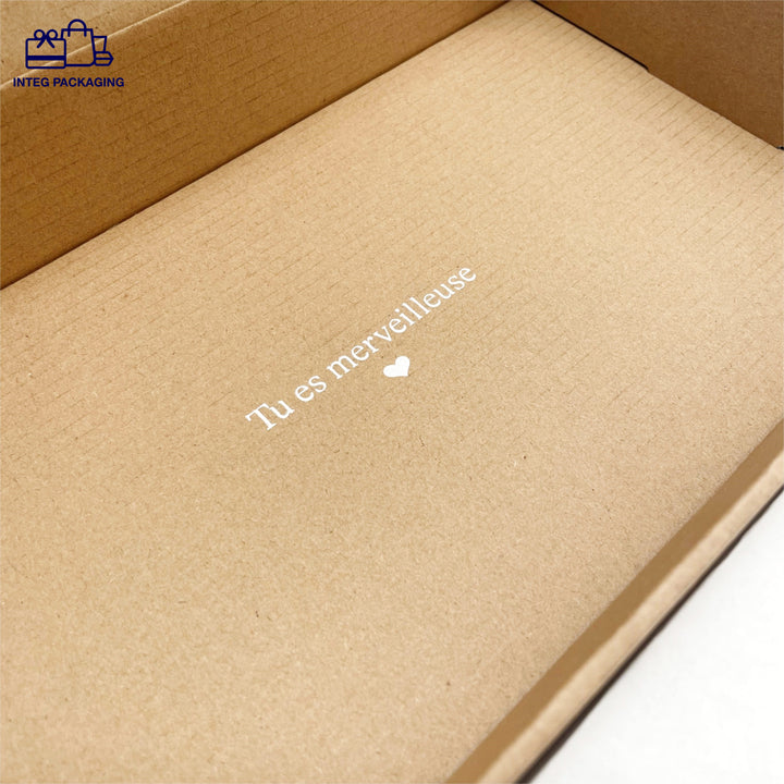 Protective Package-Mailer Box-IC0044