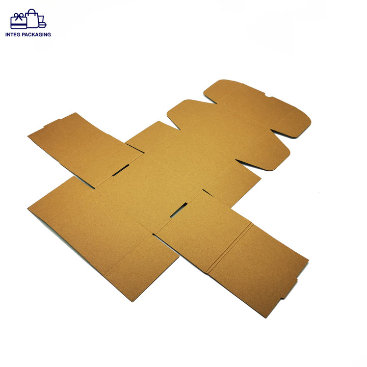Protective Package-Mailer Box-IC0033