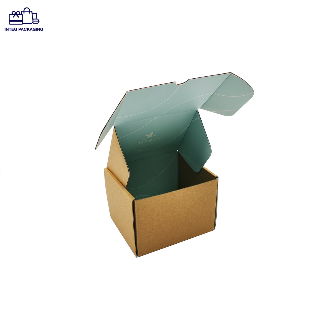 Protective Package-Mailer Box-IC0033