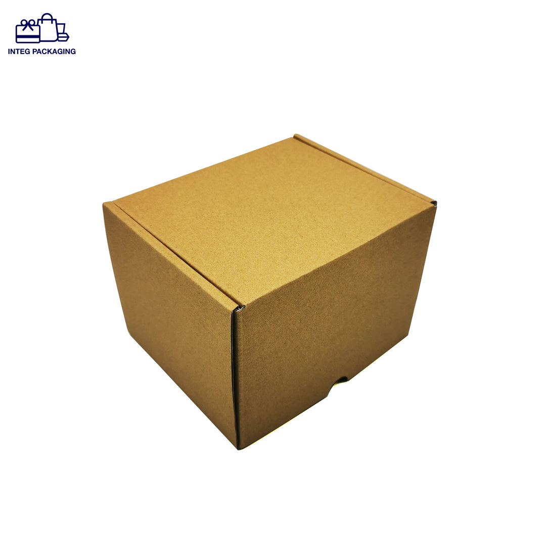 Protective Package-Mailer Box-IC0033